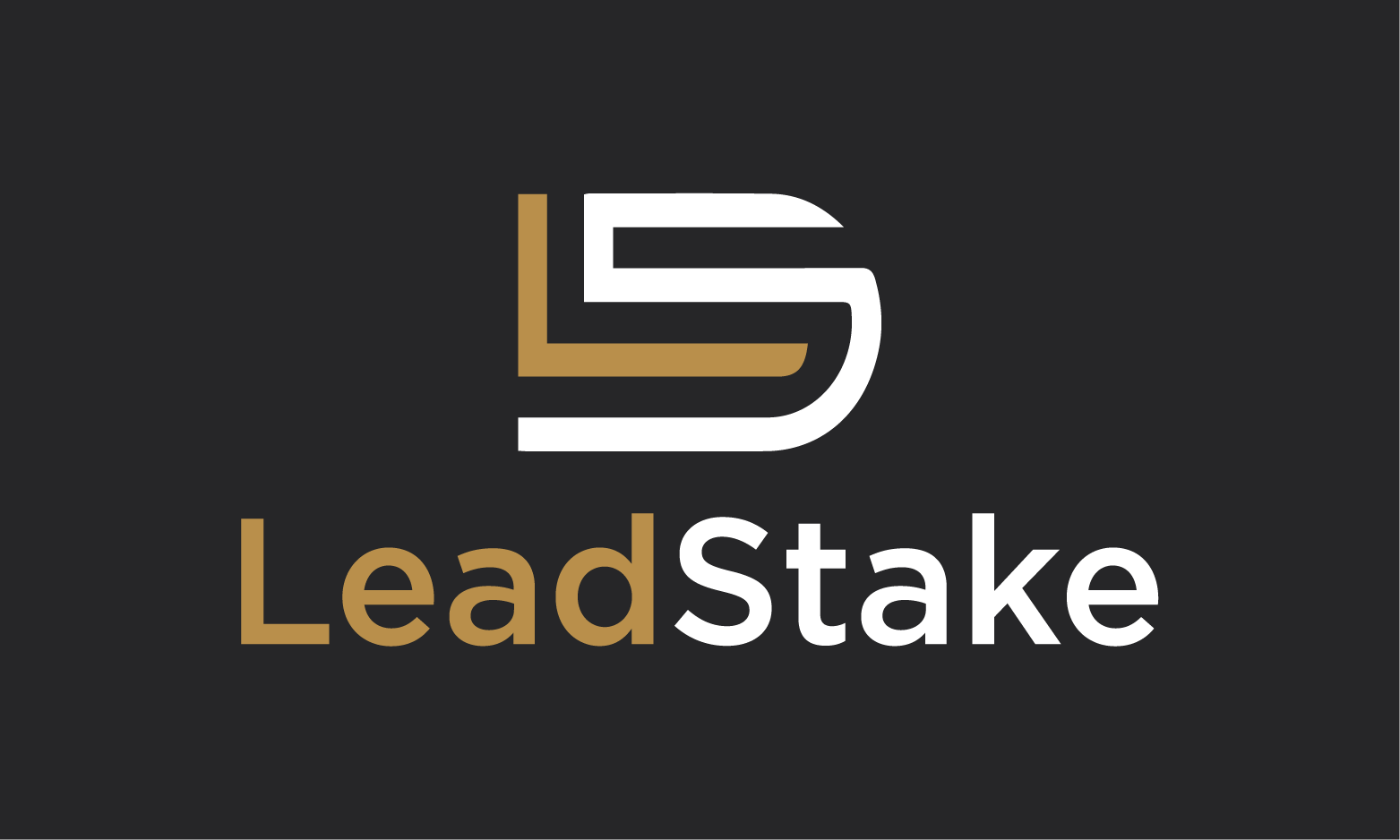 LeadStake.com - buy New premium names